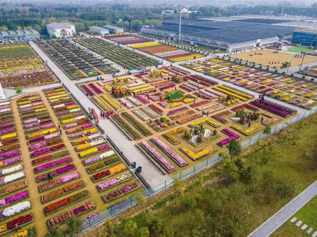 第十八届中国南京农业嘉年华即将在江宁开幕