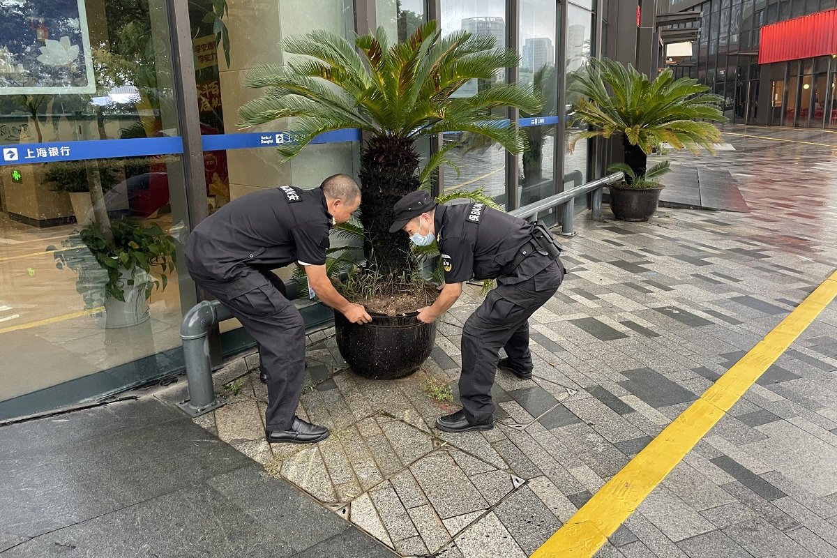 上海银行宁波分行未雨绸缪、从细从实做好“梅花”台风防御工作凤凰网宁波 凤凰网