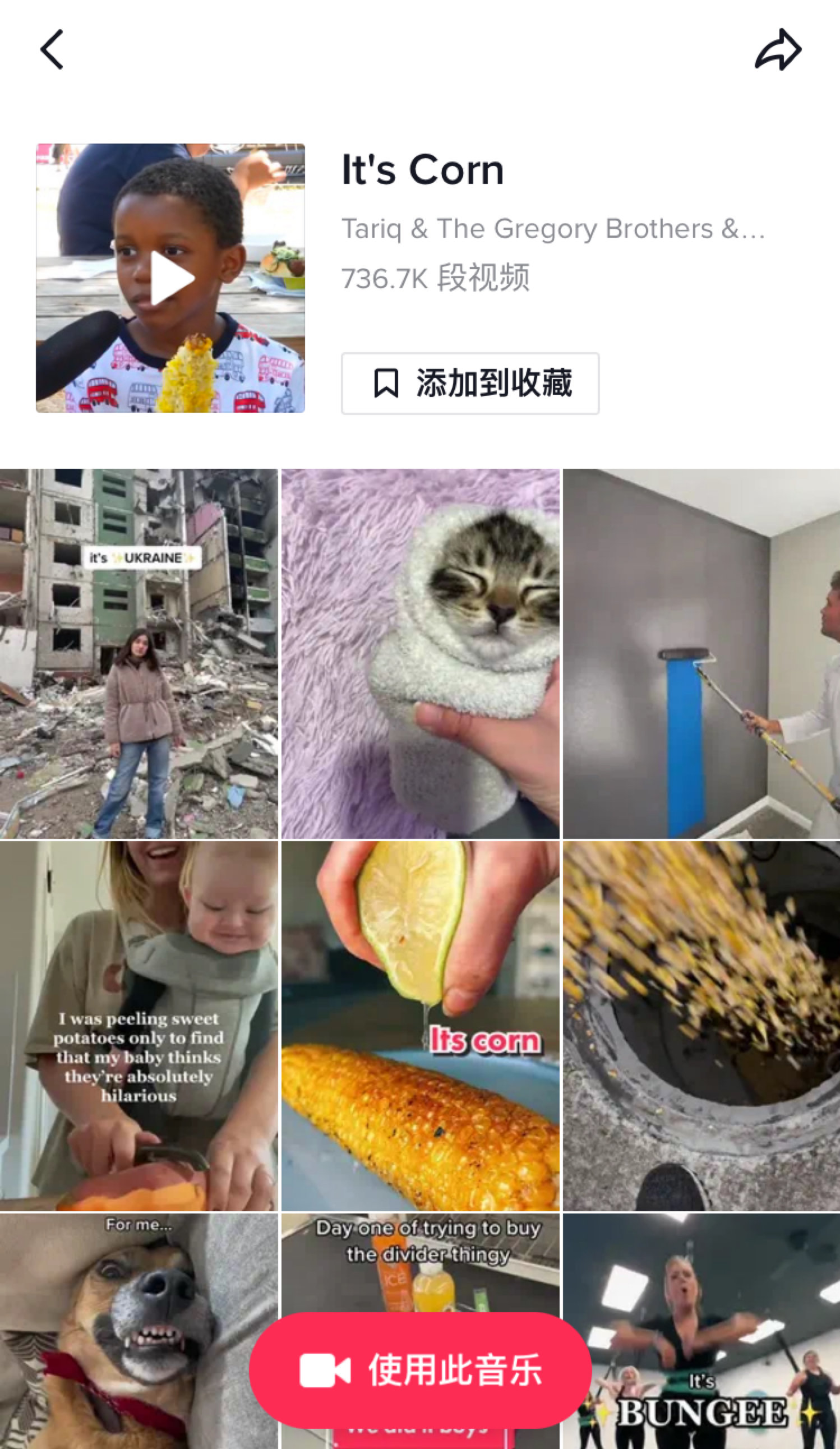 超过73万条TikTok视频用混音“It's Corn”作为配乐