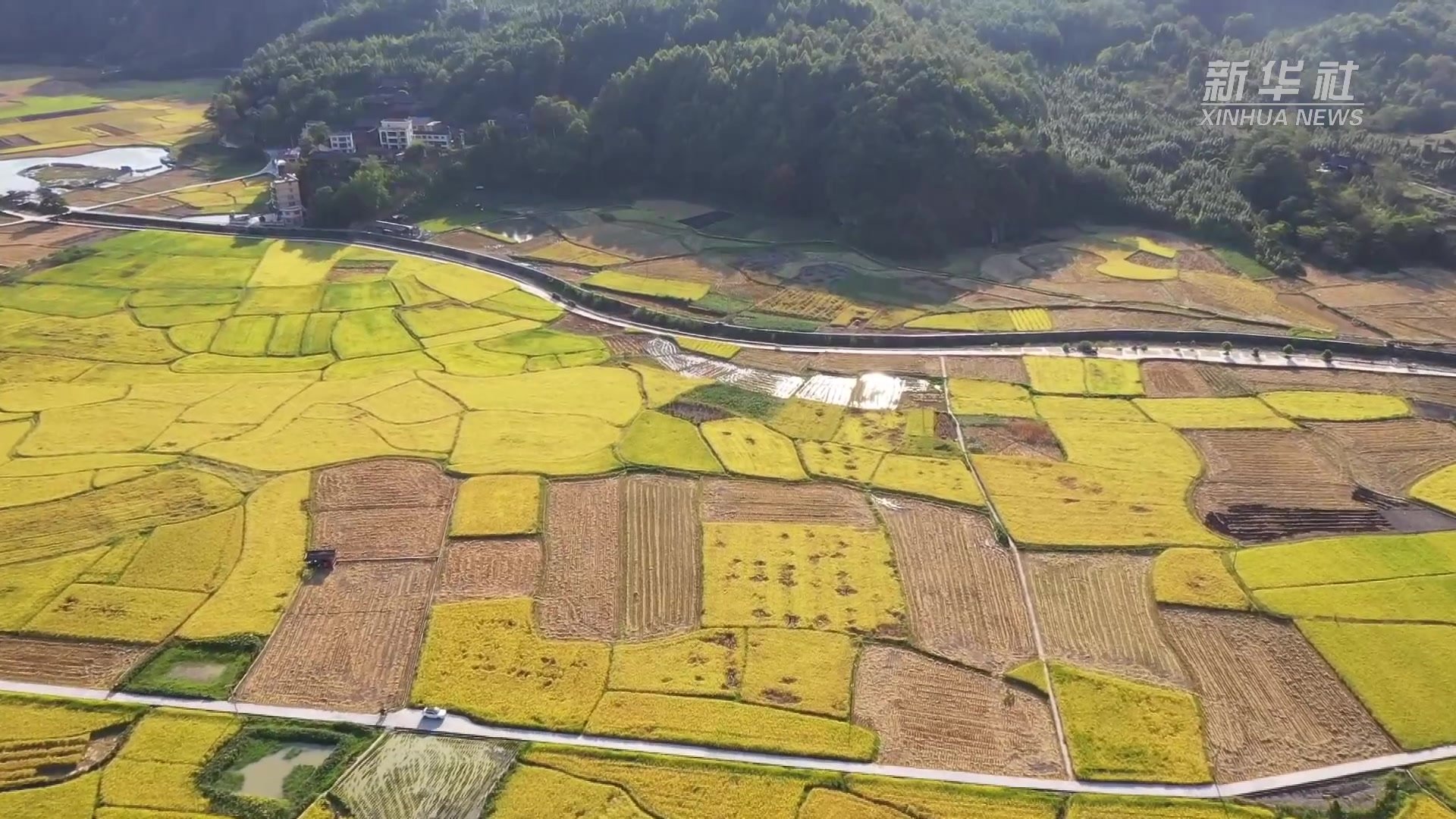 贵州剑河：田间“丰”景美如画