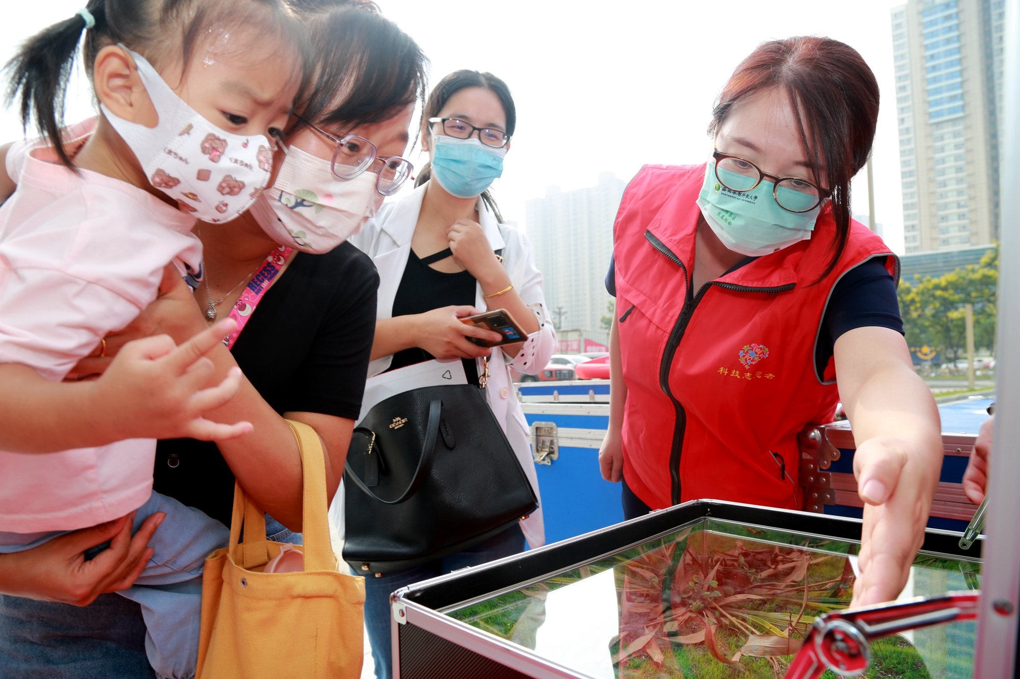 灞桥区委常委、区委宣传部部长柴艳荣观看昆虫系列科普展品