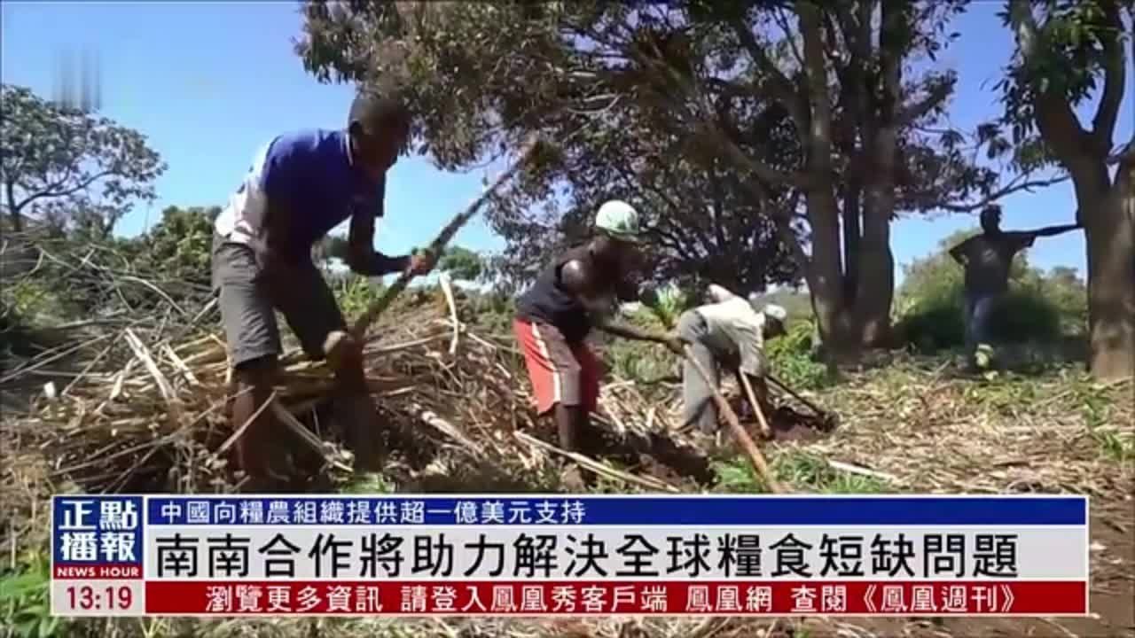 南南合作将助力解决全球粮食短缺问题