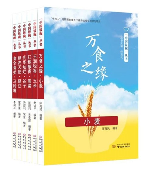 “中国饭碗”丛书