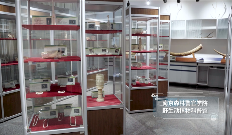 三条科普游线路云发布！2022年栖霞区“全国科普日”活动启动