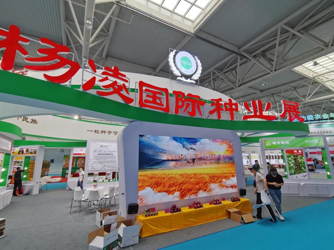 第五届杨凌国际种业创新论坛将呈现三大亮点凤凰网陕西_凤凰网