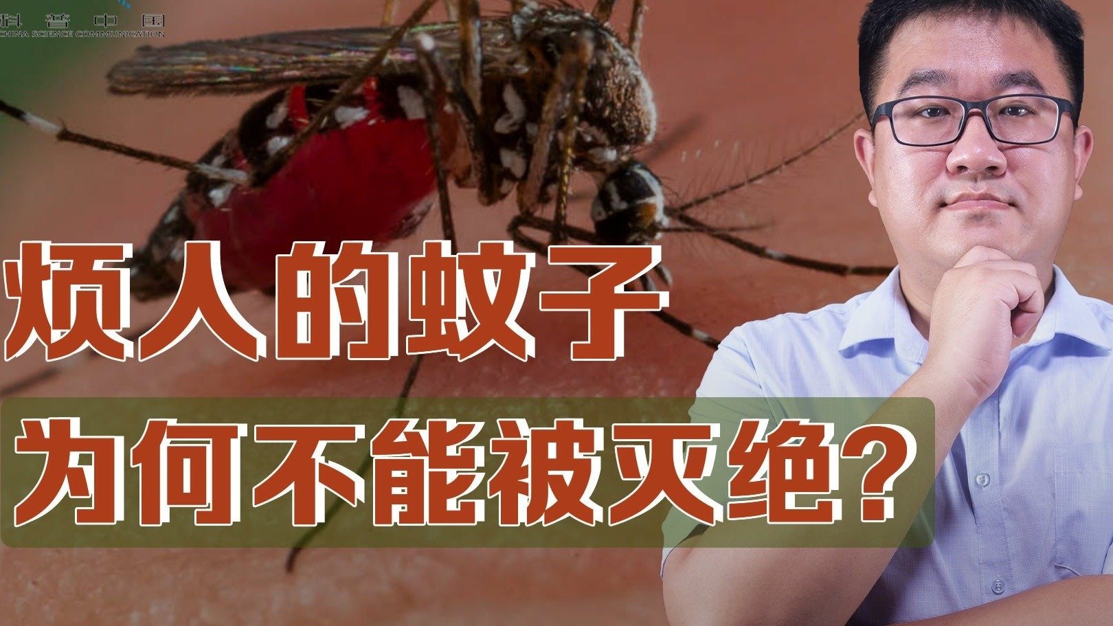 叮咬人类又传播疾病，我们为何不让讨厌的蚊子灭绝？