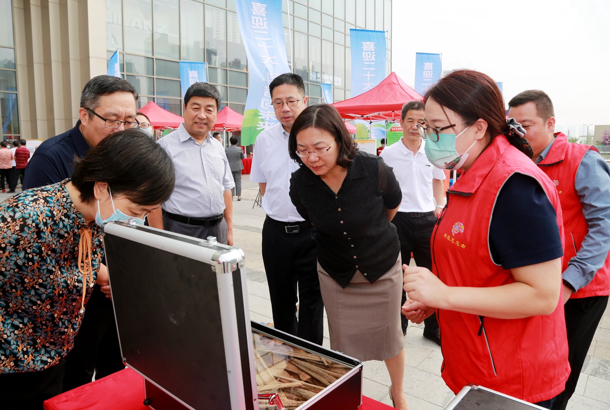 家长与小朋友一起寻找“伪装大师”竹节虫