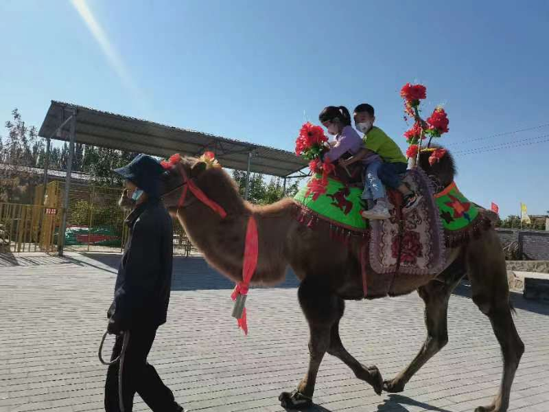 乡村记忆博物馆体验项目