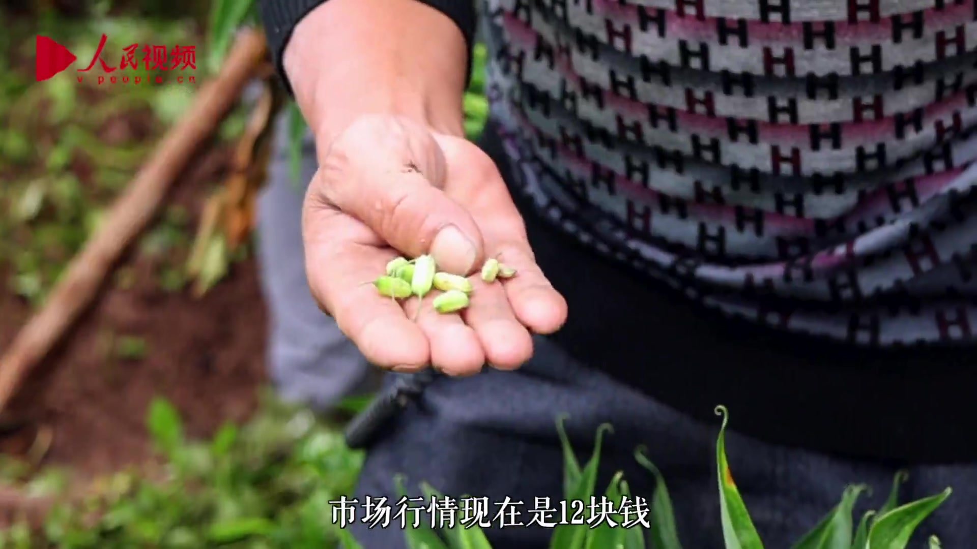 跟着总书记看中国｜华溪村的小康生活