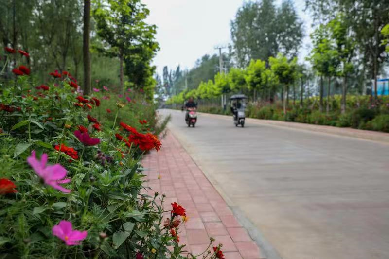 村美民富新风漾 甘肃泾川这个"红色村"实力"圈粉"