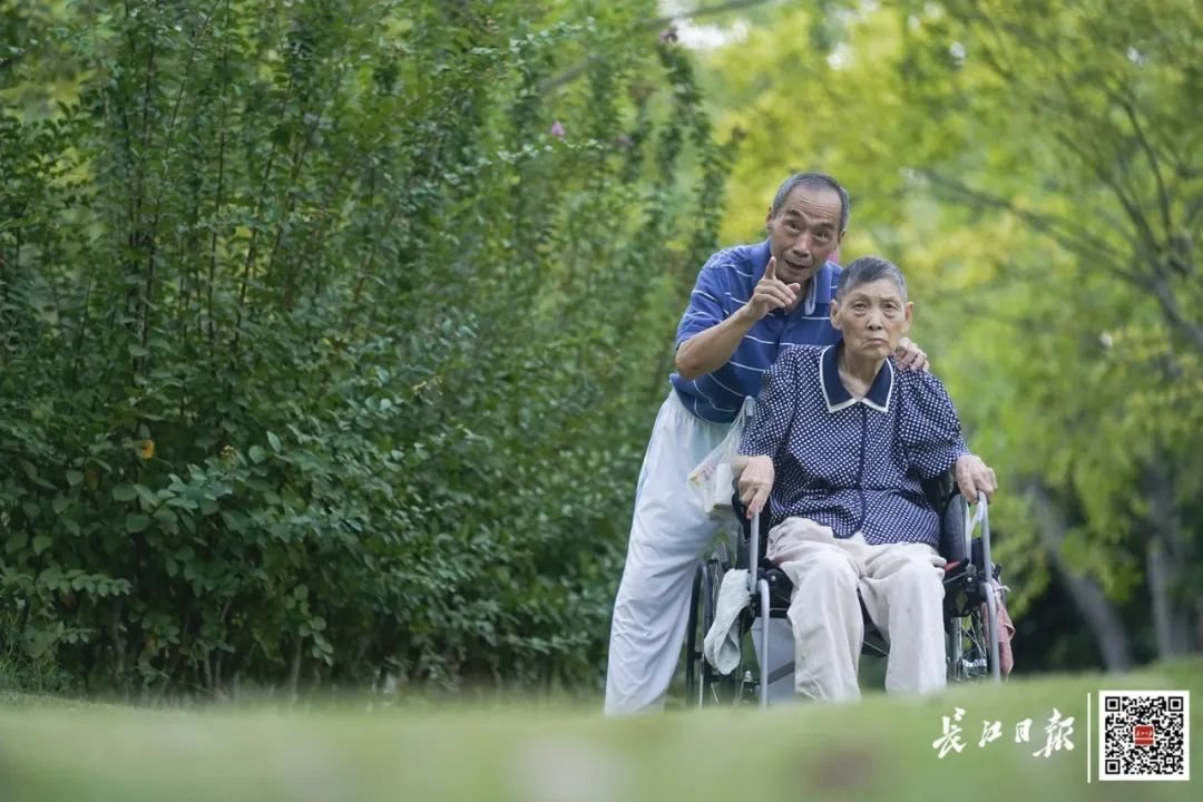 77岁老人陪轮椅上的老伴看日出看日落凤凰网湖北_凤凰网