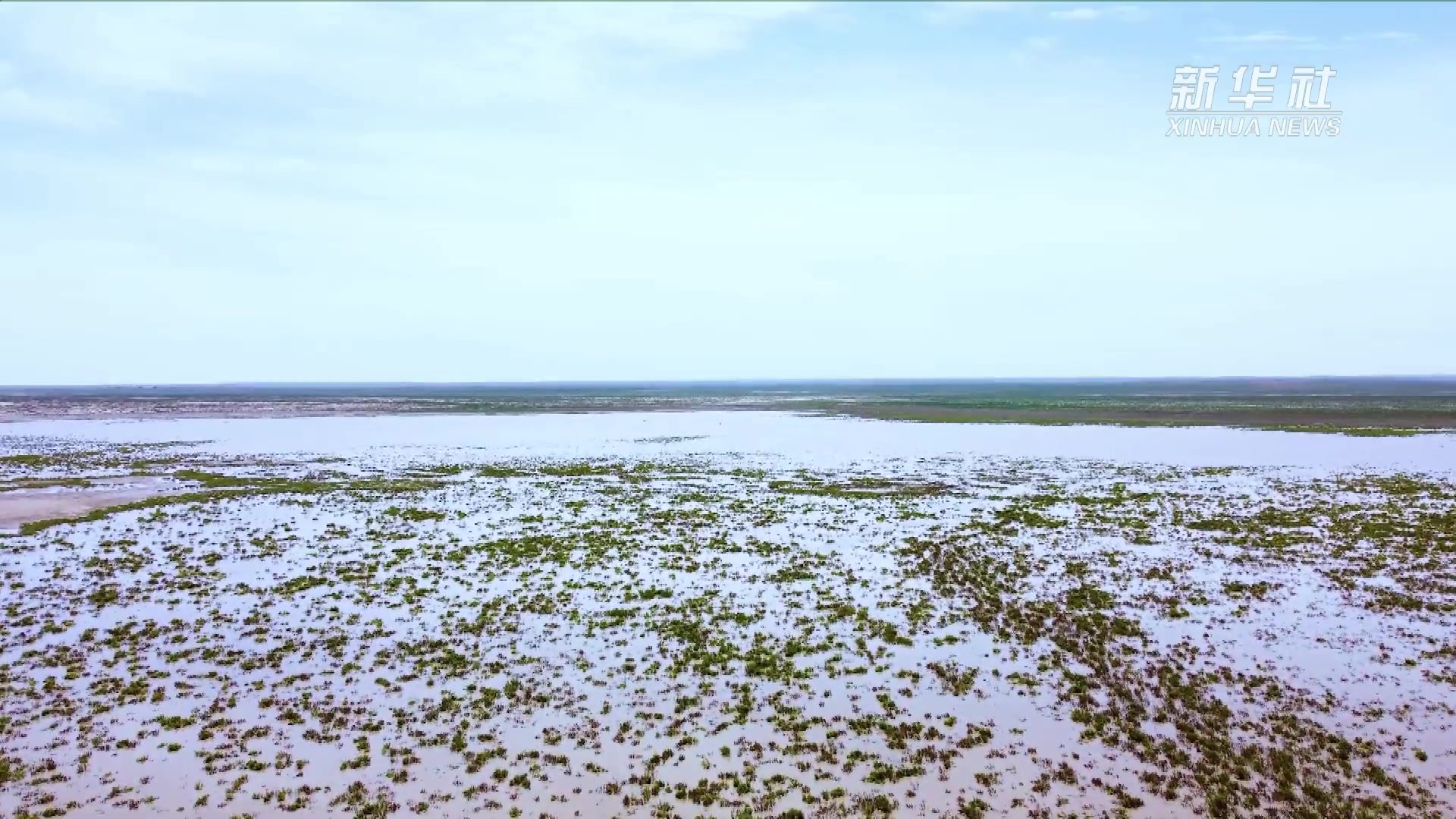 四季旅行｜戈壁草原茵如毯 ——乌拉特草原