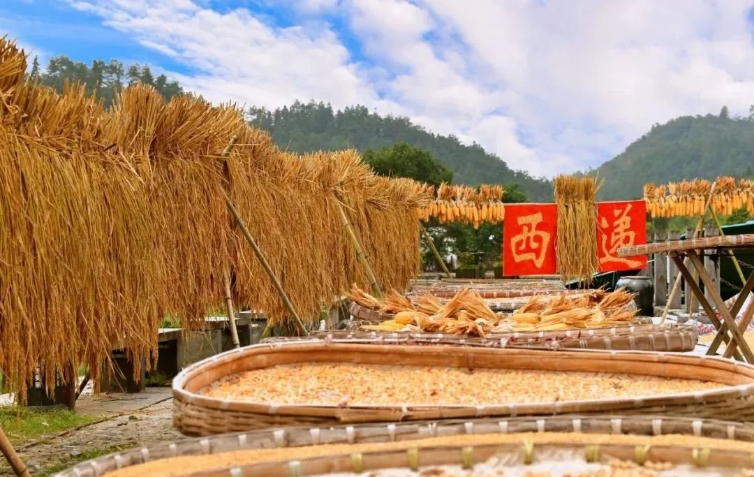 凤凰网安徽特约摄影师 江然凌（安徽黄山市西递）