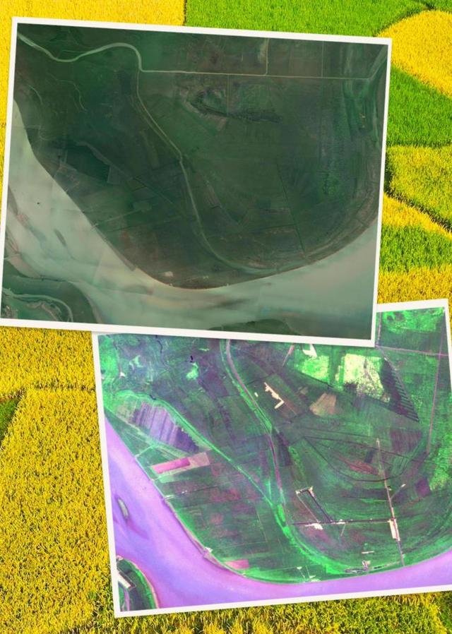 这是湖南省沅江市北胜洲区域的卫星影像。（上图摄于2021年，下图摄于2011年）