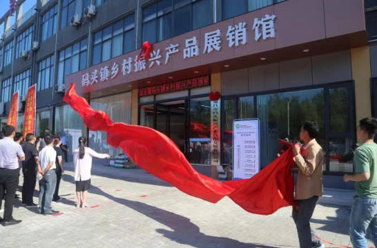 瑞昌码头：建设美丽集镇 共享幸福生活