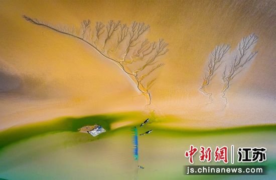 盐城黄海湿地风貌。盐城市文广旅局供图