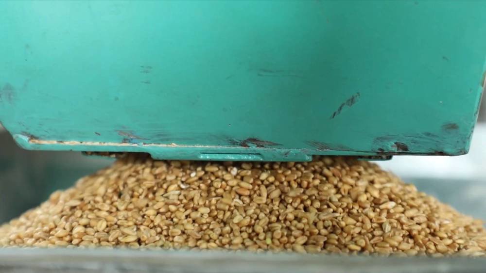 神奇“和尚”恋上西北“老旱” 500年“面面”不绝