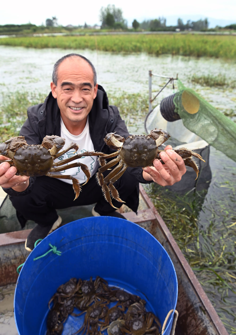 陕西汉中市城固县龙头镇明博生态养殖基地养殖大户王秋林展示捕获的螃蟹（9月20日摄）。