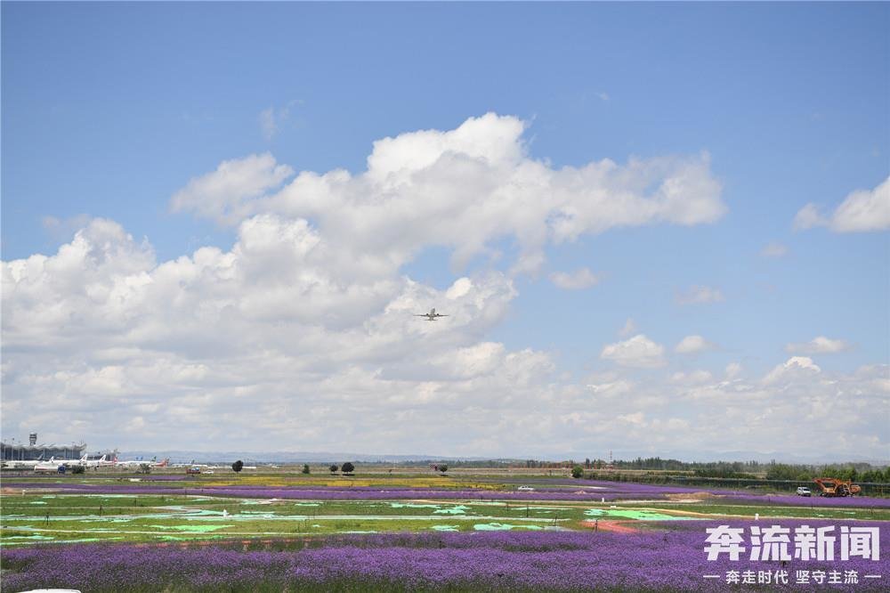 一条“巨龙”卧旱塬 浇出一座现代化新城