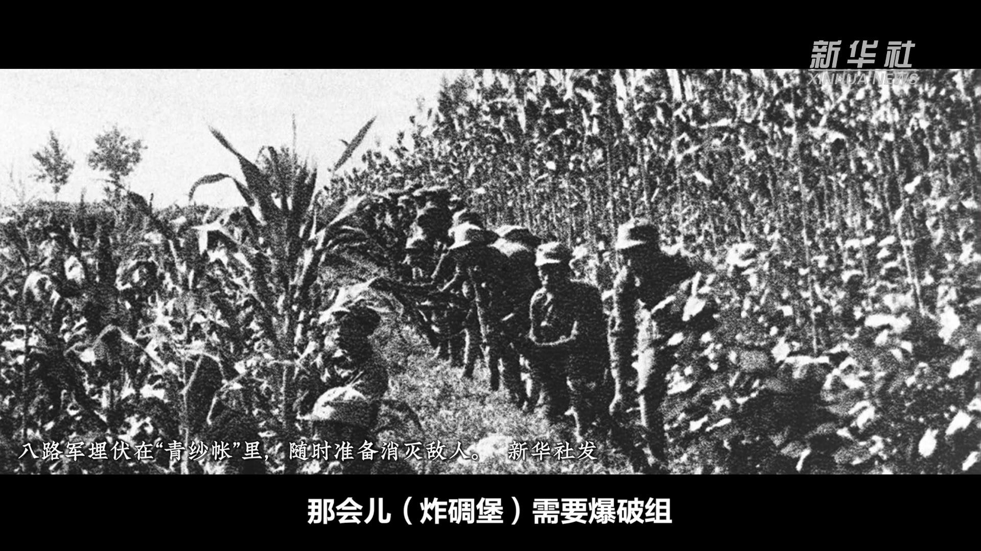 微视频｜历史永志不忘