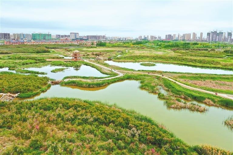 秦王川湿地公园