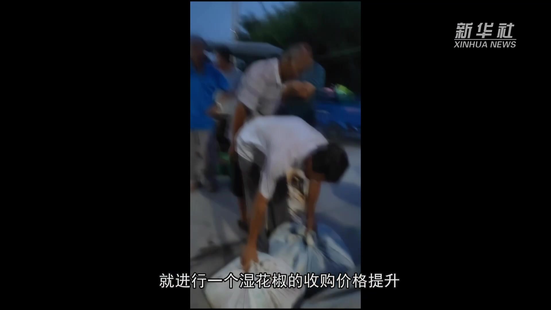 我的就业故事｜牛利利：深耕花椒产业 带领乡亲就业_凤凰网视频_凤凰网