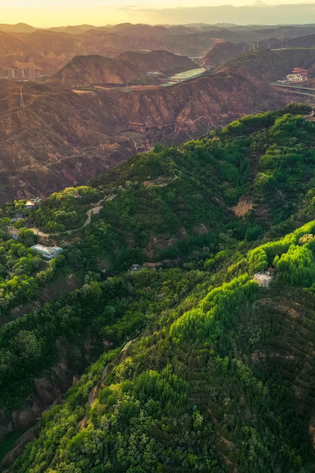 兰州城关区徐家山森林公园 摄影/李琼