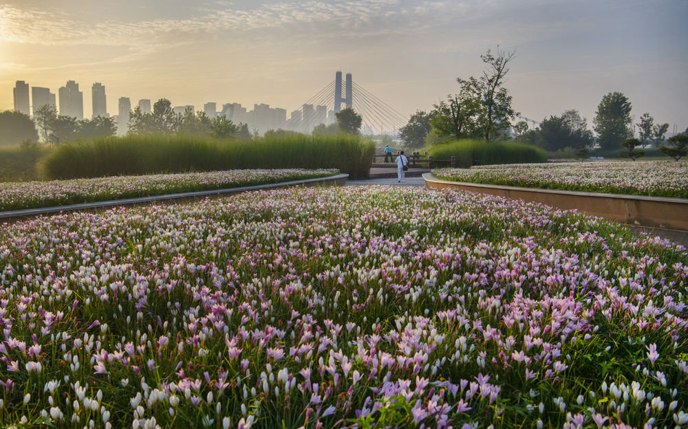 市民在陕西汉中市汉江湿地公园晨练（9月6日摄）。