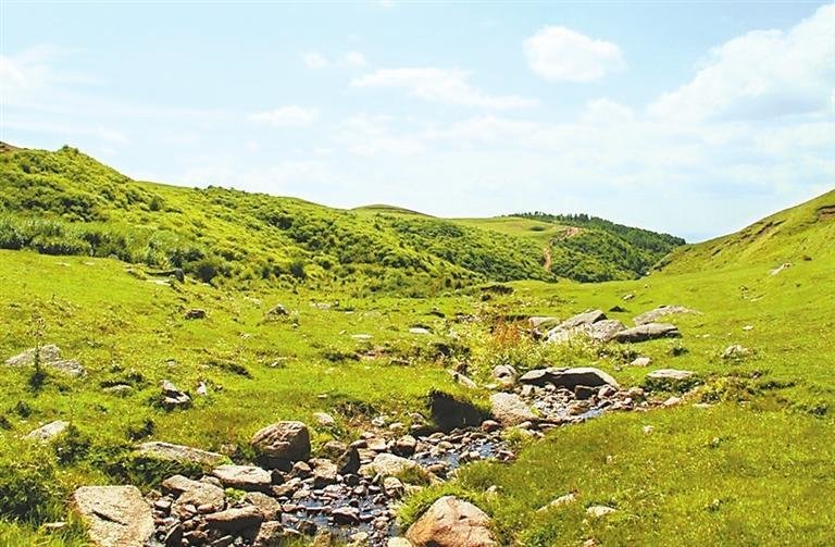 位于张家川张棉乡盘山村大石头沟组的后川河发源地