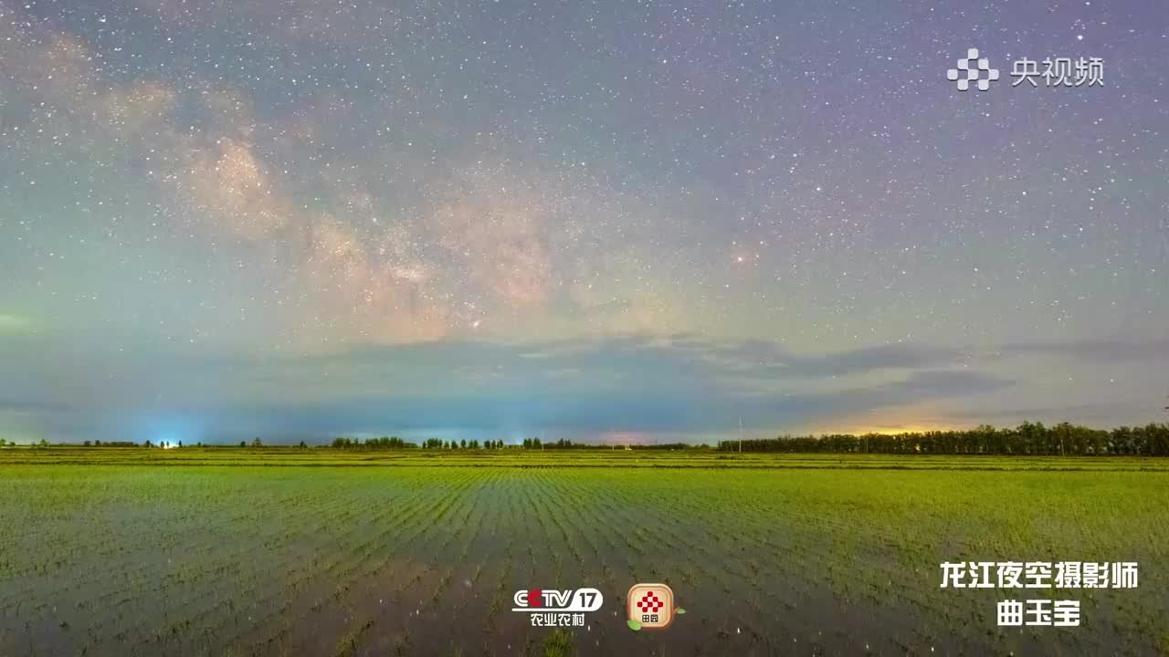 难得一见！璀璨星空下的稻田有多美