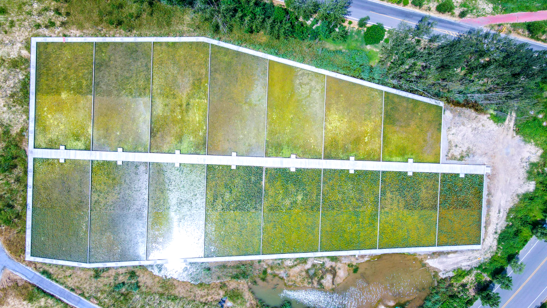 徐州首个"生态净化型"安全缓冲区通过验收凤凰网江苏_凤凰网