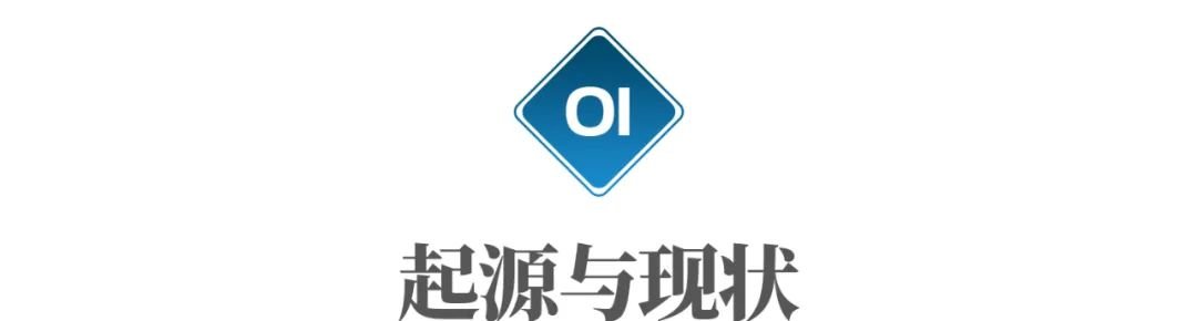 印度100万阉人,曾是神明的使者:沦为政府的“工具人”?