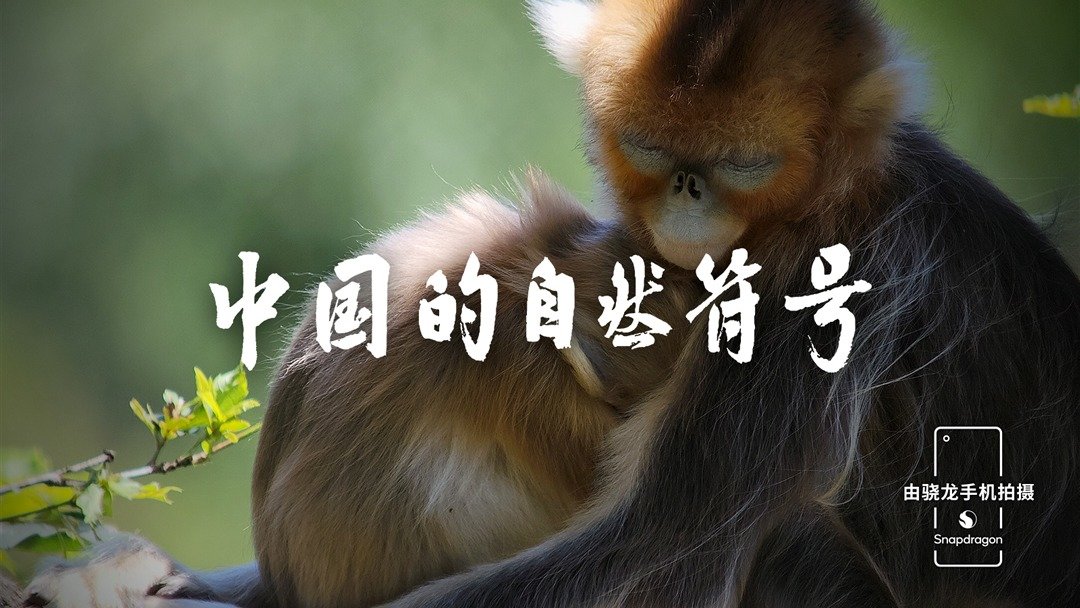 中国的自然符号