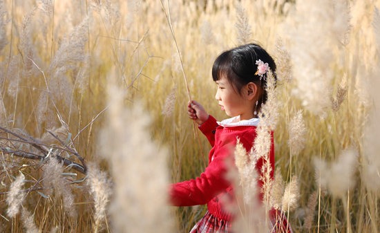 送王亚平出征时，女儿在酒泉基地芦苇荡里。