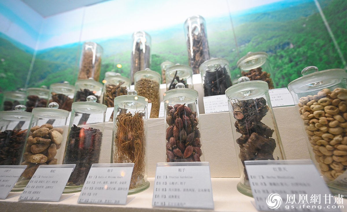 博物馆内陈列有各种药材，生动展示了岐黄中医药文化的博大精深。杨艺锴 摄