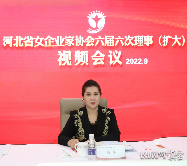 河北省女企业家协会会长刘洋发言。