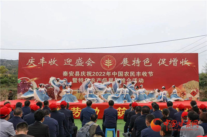 陇原干饭人速速就“胃” 丰收“色号”里你pick哪款