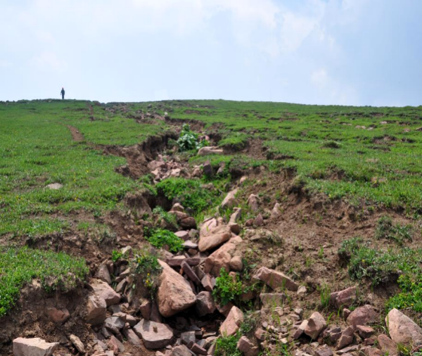 图为马仑草原修复前状况