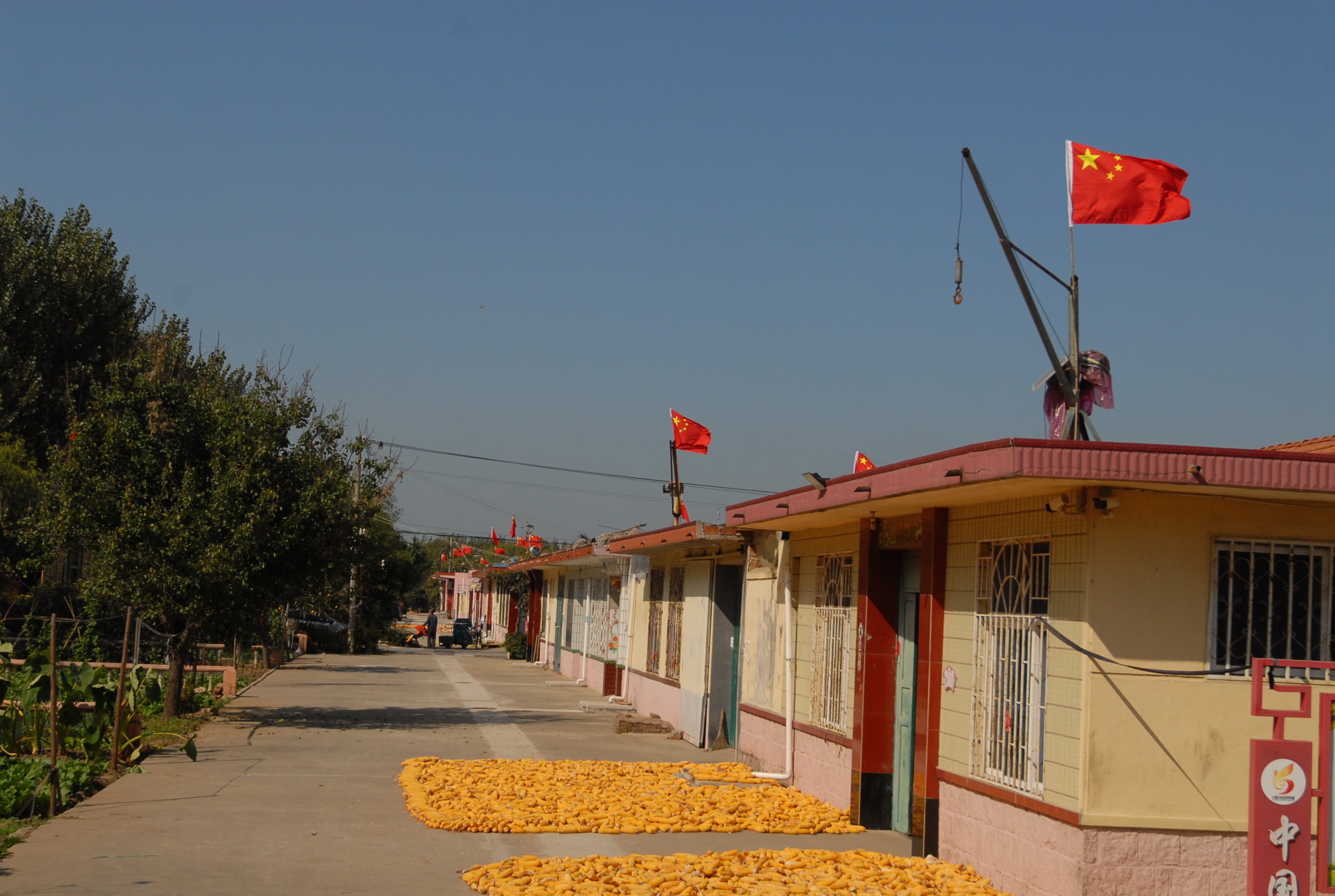 即墨区移风店镇小欧戈庄村党支部书记吴子旭说:"五星红旗对每个中国人