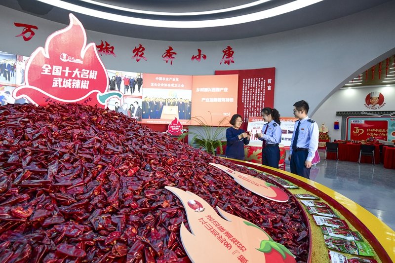 武城税务：“小辣椒”映红“大产业”“税力量”打响“组合拳”