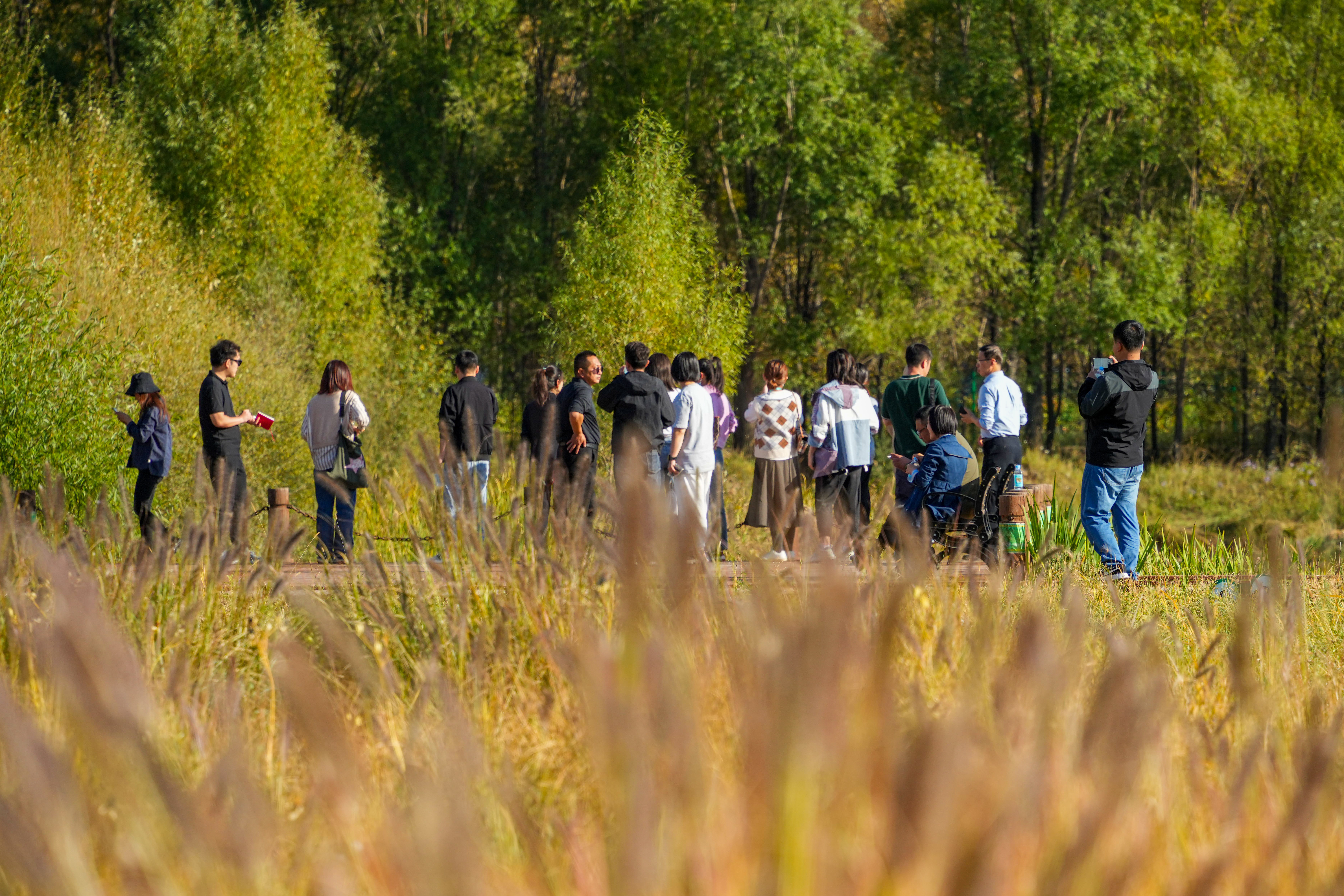 图为记者团来到山西静乐汾河川国家湿地公园拍照（马梦迪 摄）
