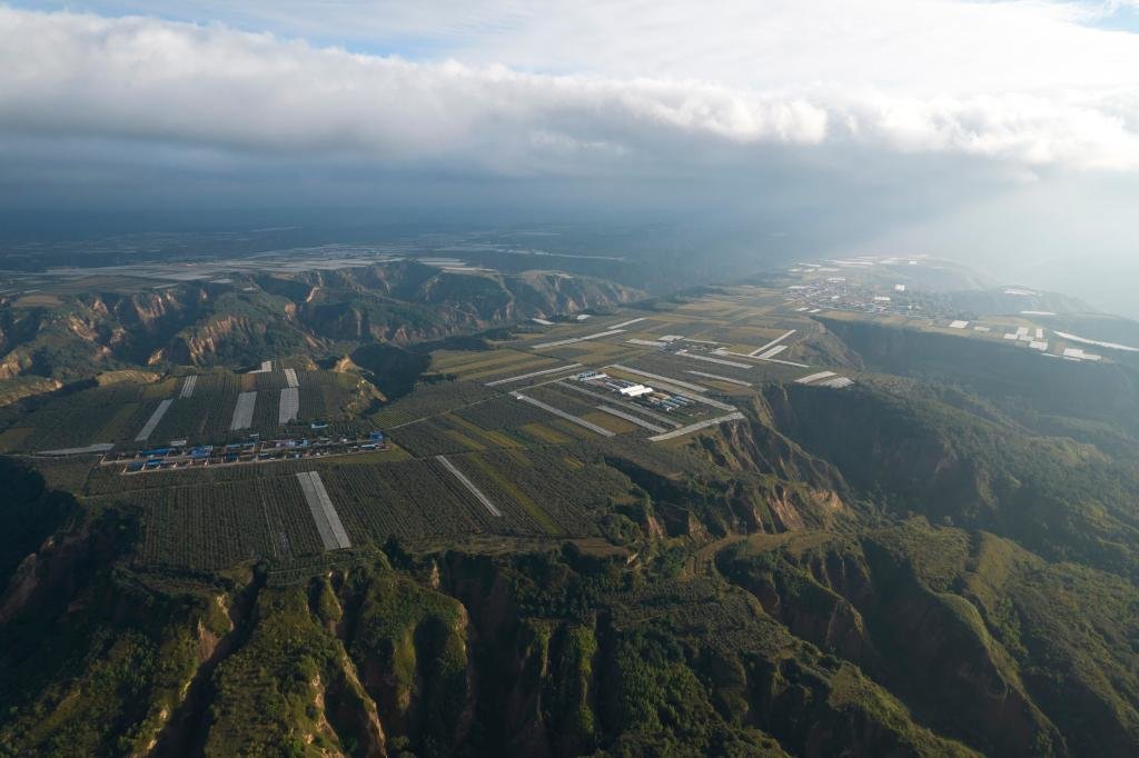 陕西洛川土苹果变身时尚果
