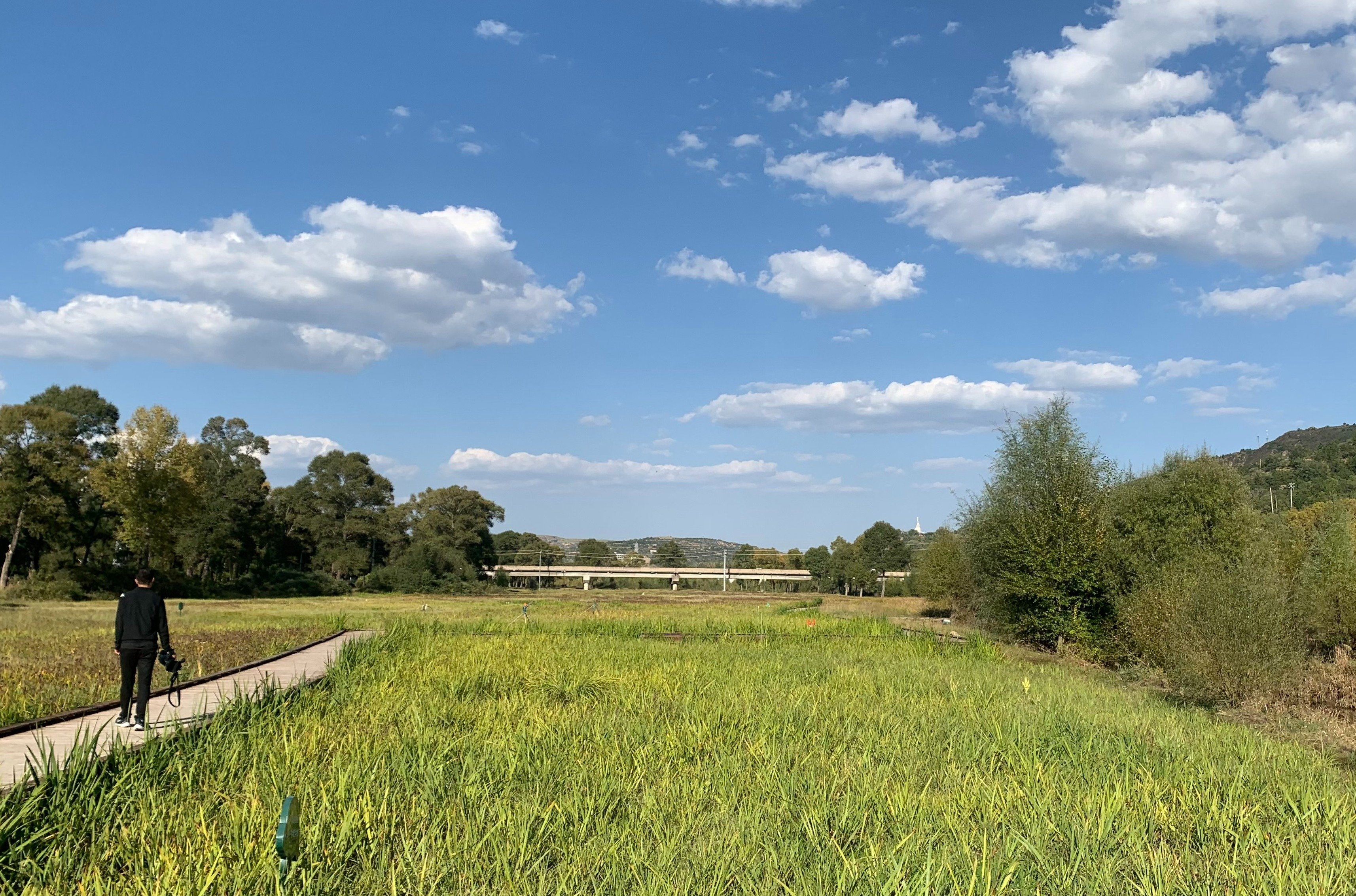 图为山西静乐汾河川国家湿地公园美景(衡田田 摄)