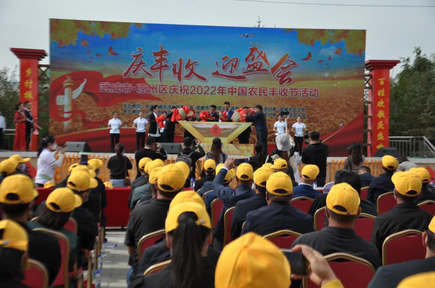 陇原干饭人速速就“胃” 丰收“色号”里你pick哪款