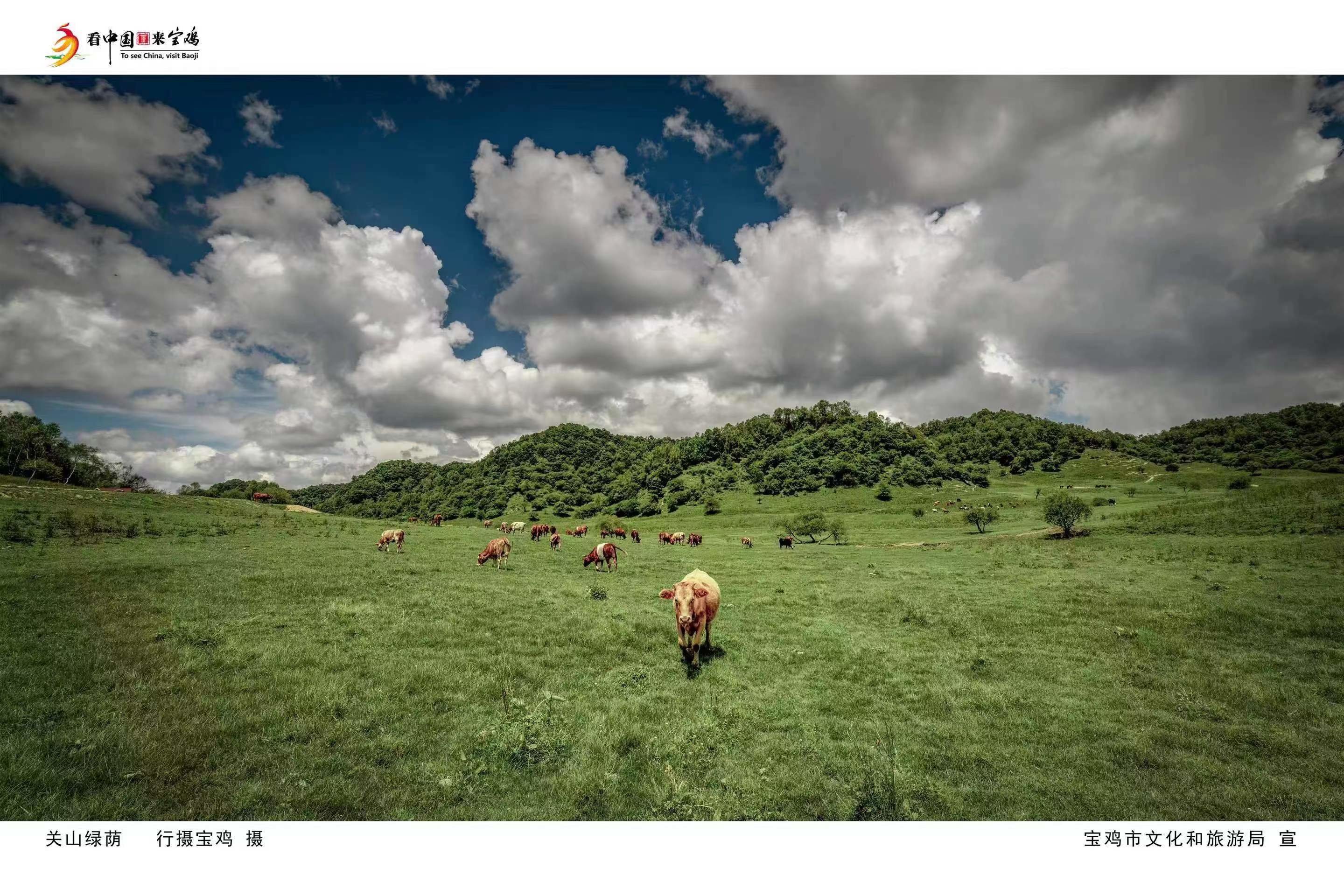 宝鸡旅游有声摄影作品展即将启幕
