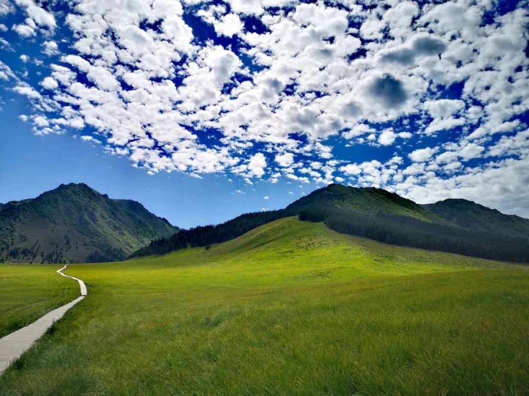 图为武威市天祝县冰沟河景区