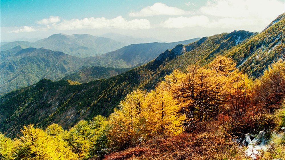 满山红叶揽云海 五大主题线路带你秋赏宝鸡