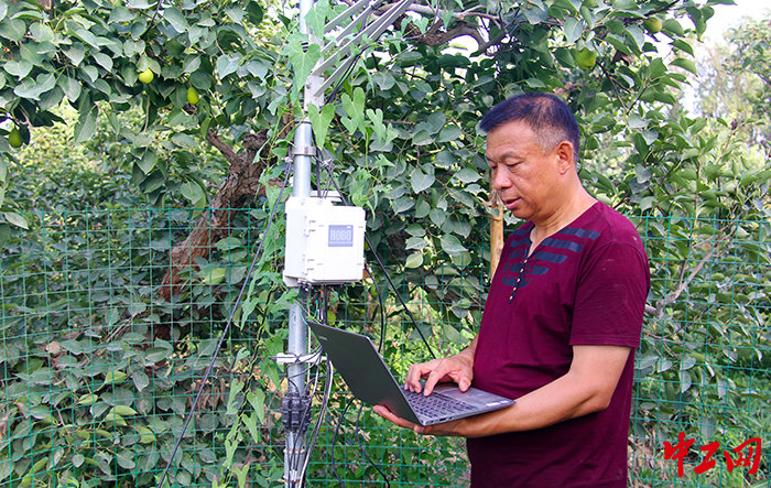 下载自动气候工作站数据