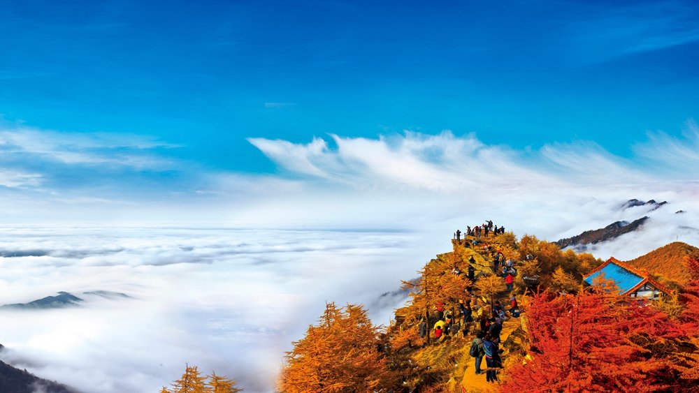 满山红叶揽云海 五大主题线路带你秋赏宝鸡