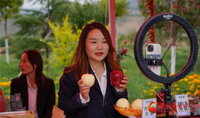 陇原干饭人速速就“胃” 丰收“色号”里你pick哪款